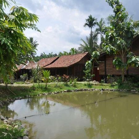 The Pikas Resort Wonosobo Bagian luar foto