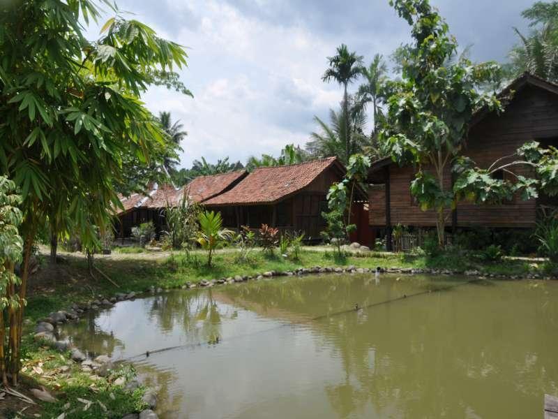 The Pikas Resort Wonosobo Bagian luar foto