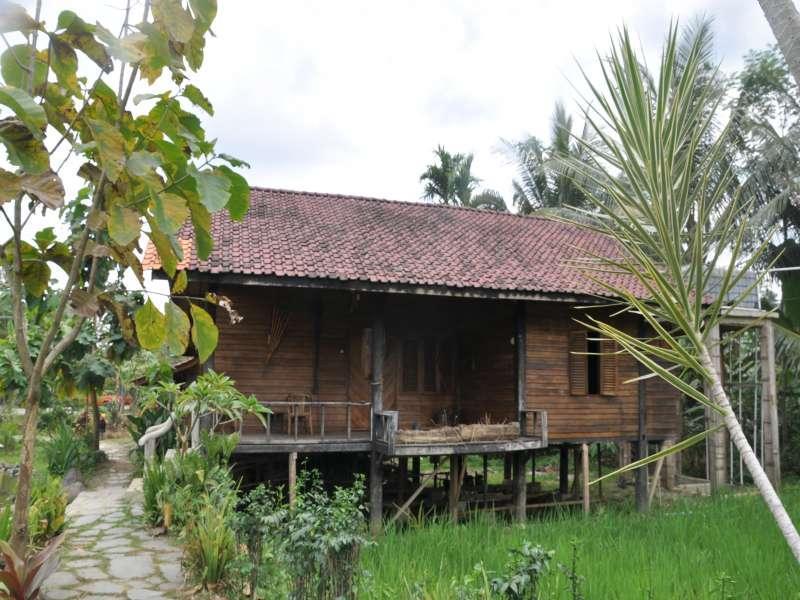 The Pikas Resort Wonosobo Bagian luar foto